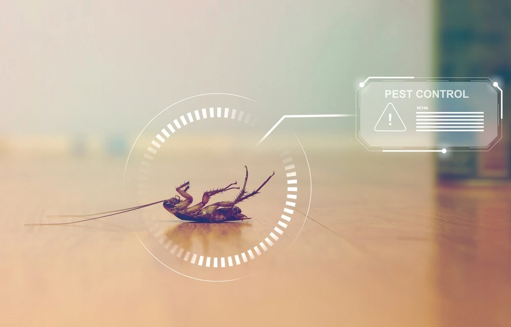 pest control cockroach