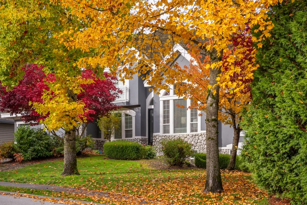 Home in autumn
