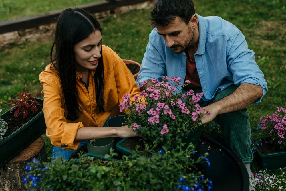 couple managing home garden in spring