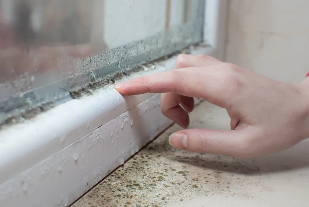female hand removing mould from a window