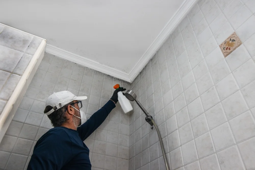 professional man spraying on Mildew in a bathroom ceiling